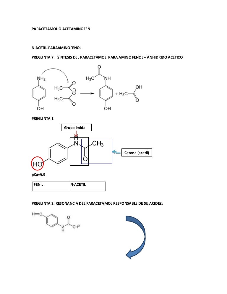 biotransformacion del paracetamol